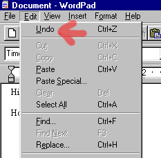 The Undo Command